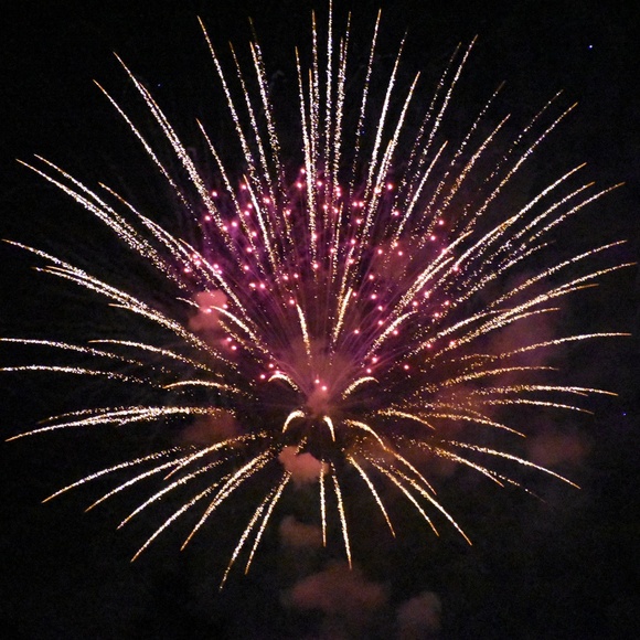 Meet Your Posher - Picture 4 of 4